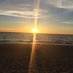 Meet your Posher, Vicki